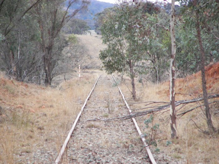 Longer view looking north from road crossing.